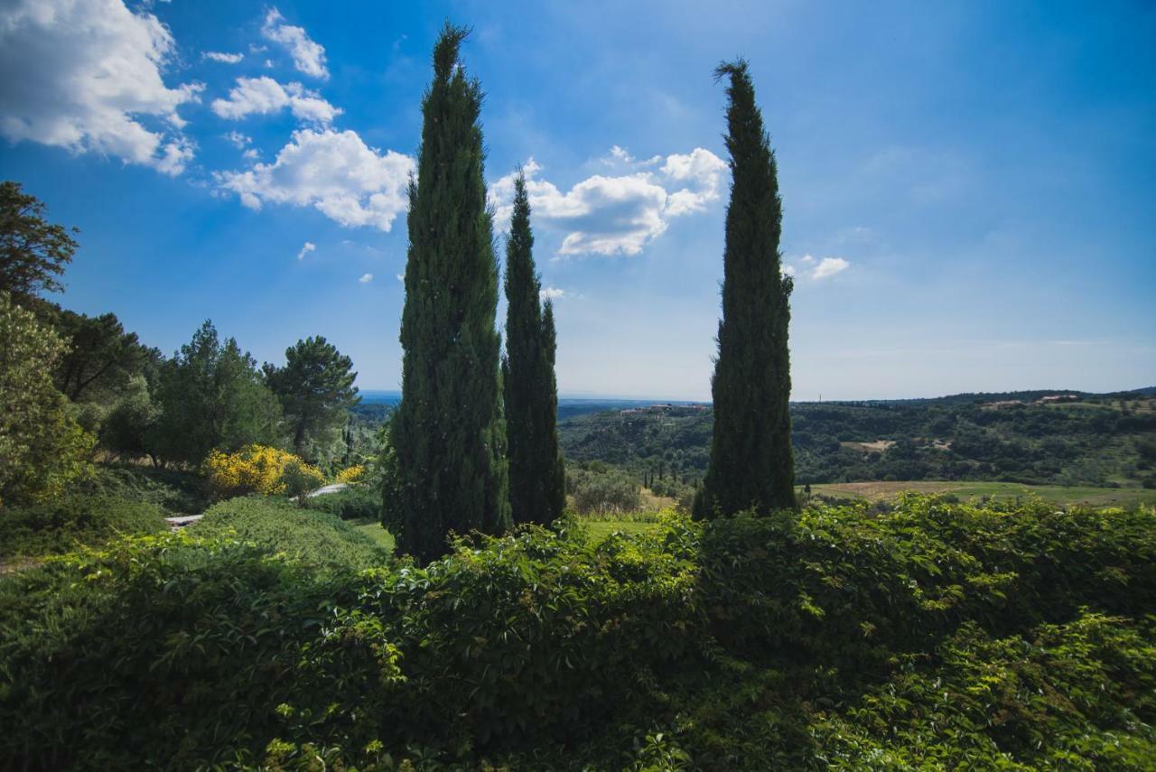 Villa Cava Alta Ріпарбелла Екстер'єр фото